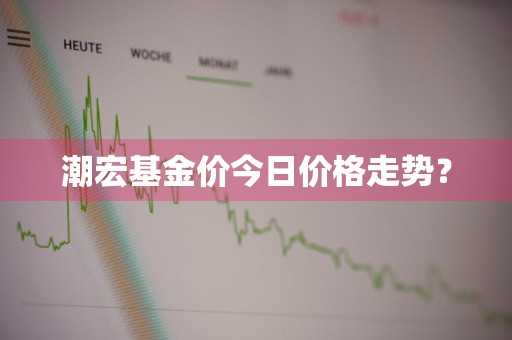 潮宏基金价今日价格走势？