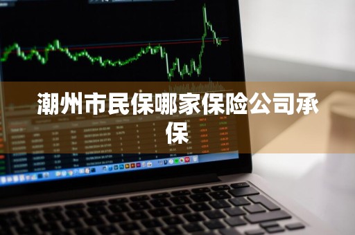 潮州市民保哪家保险公司承保