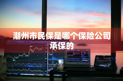 潮州市民保是哪个保险公司承保的
