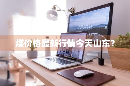 煤价格最新行情今天山东？