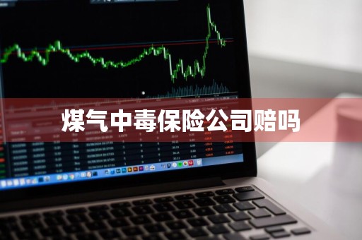 煤气中毒保险公司赔吗