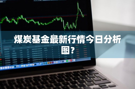 煤炭基金最新行情今日分析图？