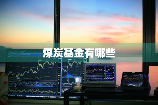 煤炭基金有哪些