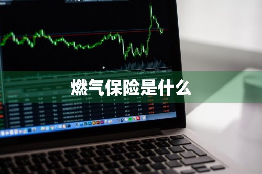 燃气保险是什么