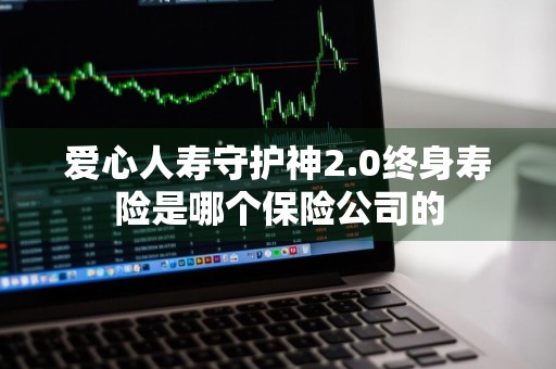 爱心人寿守护神2.0终身寿险是哪个保险公司的