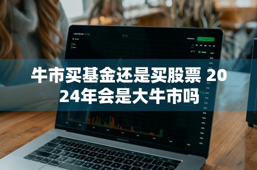 牛市买基金还是买股票 2024年会是大牛市吗
