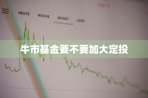 牛市基金要不要加大定投