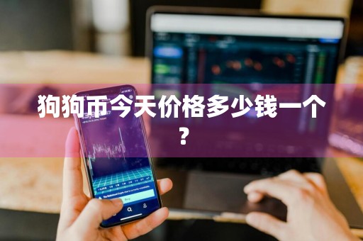 狗狗币今天价格多少钱一个？