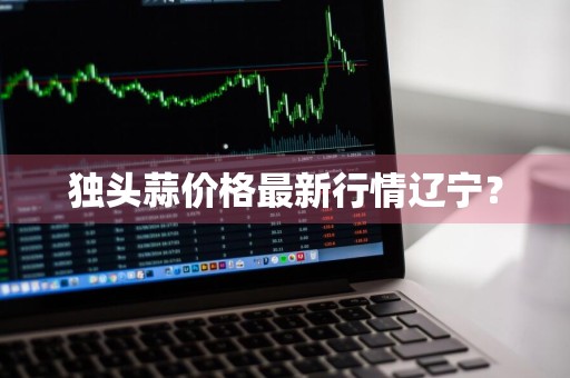 独头蒜价格最新行情辽宁？