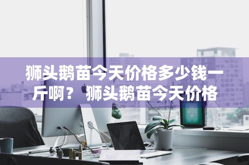 狮头鹅苗今天价格多少钱一斤啊？ 狮头鹅苗今天价格多少钱一斤啊图片