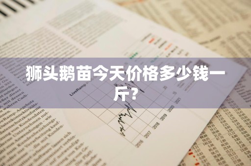 狮头鹅苗今天价格多少钱一斤？