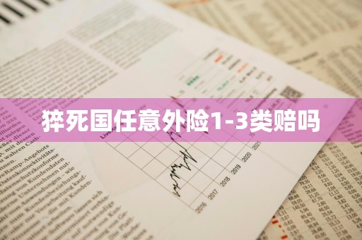 猝死国任意外险1-3类赔吗