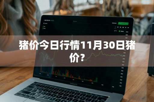 猪价今日行情11月30日猪价？