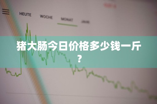 猪大肠今日价格多少钱一斤？