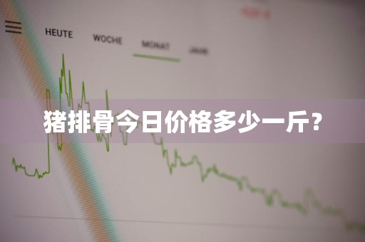 猪排骨今日价格多少一斤？