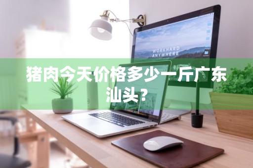 猪肉今天价格多少一斤广东汕头?