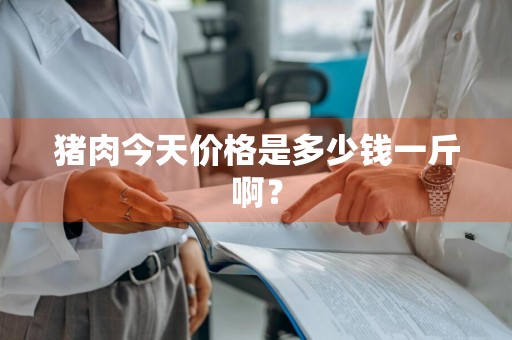 猪肉今天价格是多少钱一斤啊？