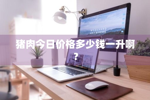 猪肉今日价格多少钱一升啊？