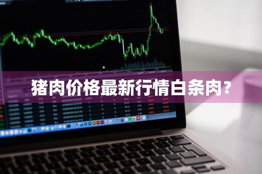 猪肉价格最新行情白条肉？