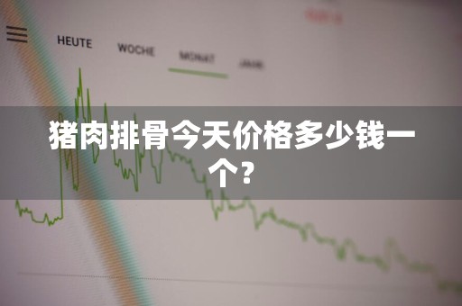 猪肉排骨今天价格多少钱一个？