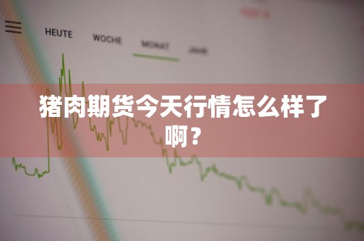 猪肉期货今天行情怎么样了啊？