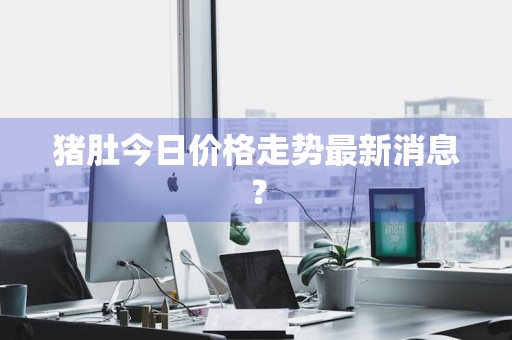 猪肚今日价格走势最新消息？