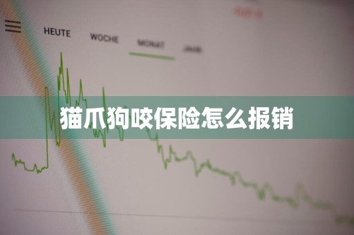 猫爪狗咬保险怎么报销