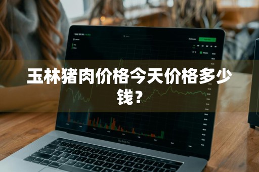 玉林猪肉价格今天价格多少钱？