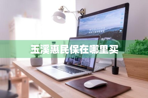 玉溪惠民保在哪里买