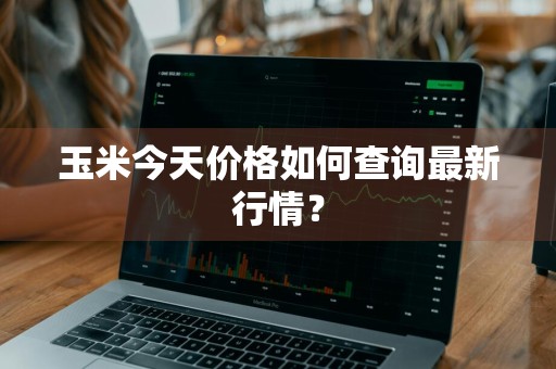 玉米今天价格如何查询最新行情？