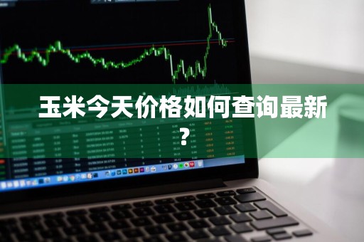 玉米今天价格如何查询最新？