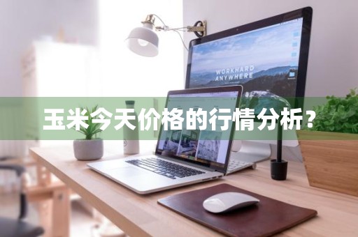 玉米今天价格的行情分析？