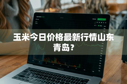 玉米今日价格最新行情山东青岛？