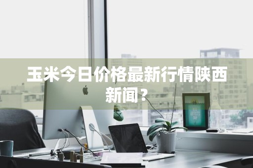 玉米今日价格最新行情陕西新闻?