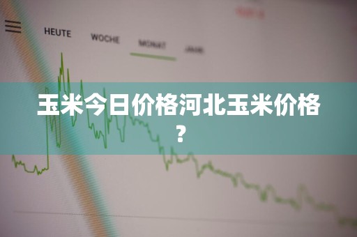 玉米今日价格河北玉米价格？