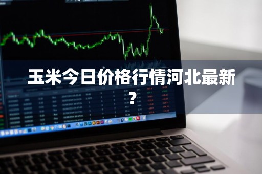 玉米今日价格行情河北最新？