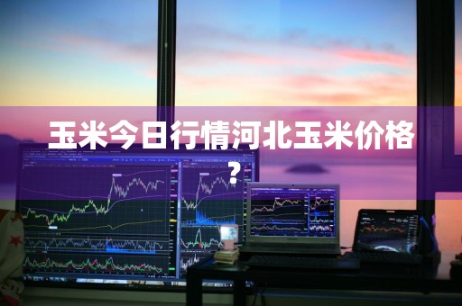 玉米今日行情河北玉米价格？