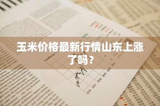 玉米价格最新行情山东上涨了吗？