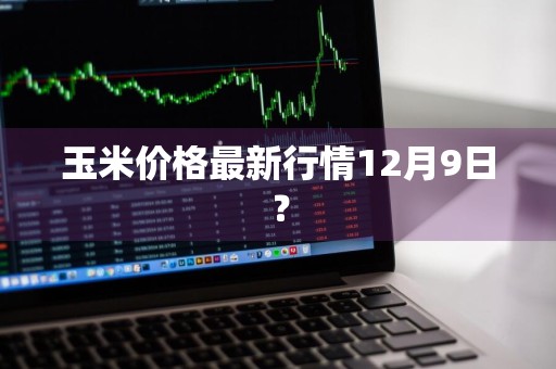 玉米价格最新行情12月9日？