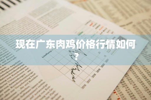 现在广东肉鸡价格行情如何?