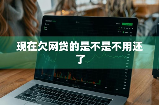 现在欠网贷的是不是不用还了