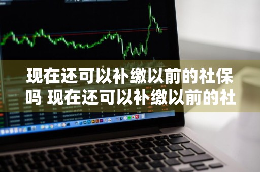 现在还可以补缴以前的社保吗 现在还可以补缴以前的社保吗