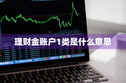 理财金账户1类是什么意思