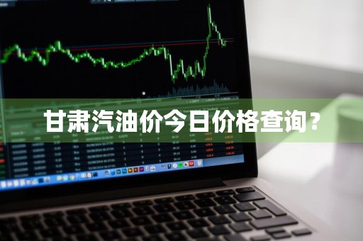甘肃汽油价今日价格查询?