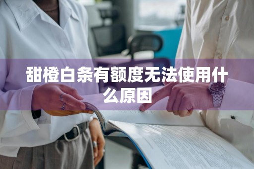 甜橙白条有额度无法使用什么原因