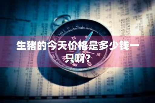 生猪的今天价格是多少钱一只啊？