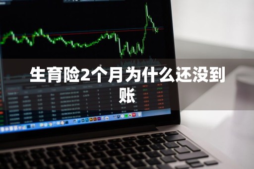 生育险2个月为什么还没到账