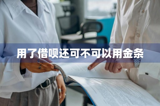 用了借呗还可不可以用金条