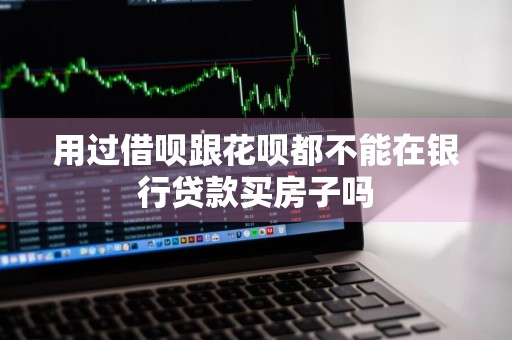 用过借呗跟花呗都不能在银行贷款买房子吗
