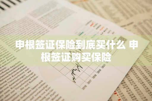 申根签证保险到底买什么 申根签证购买保险